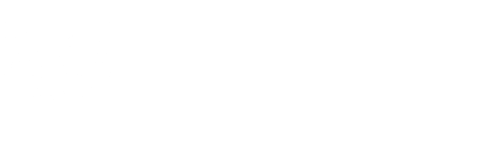 Intelekta